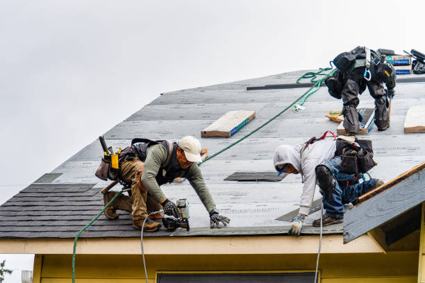 Professional Gutter Installation technician working in Van Etten, NY